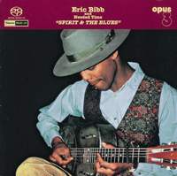 eric bibb.jpg
